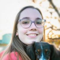 Thumb ticker whatsapp image 2025 07 08 at 16.14.00